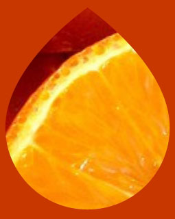 Vitamina C